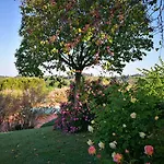 Hotel Le Boscarecce 3*