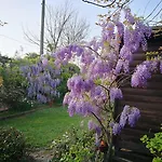 Le Boscarecce 3* Castelfiorentino