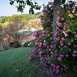 Le Boscarecce Castelfiorentino