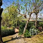 Hotel Le Boscarecce Castelfiorentino