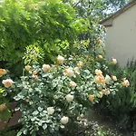 Le Boscarecce Hotel Castelfiorentino
