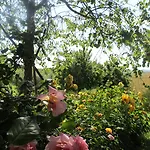 Hotel Le Boscarecce