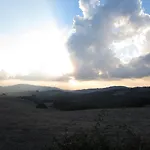 Le Boscarecce Castelfiorentino