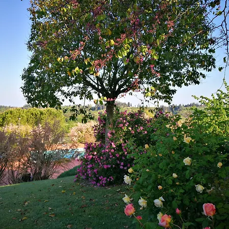 Hotel Le Boscarecce 3*
