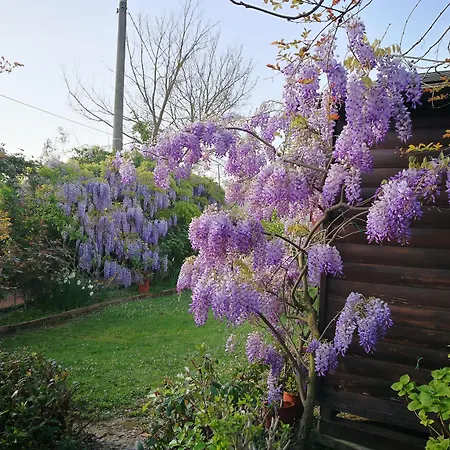 Le Boscarecce 3* Castelfiorentino