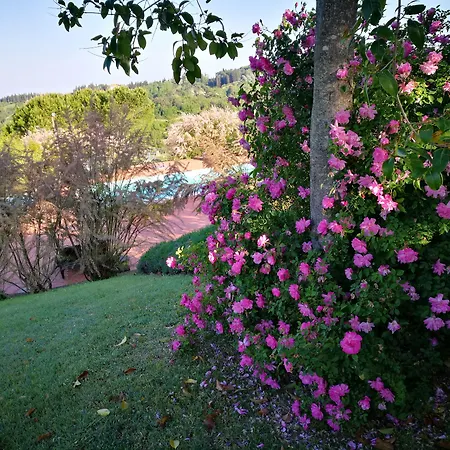 Le Boscarecce Castelfiorentino