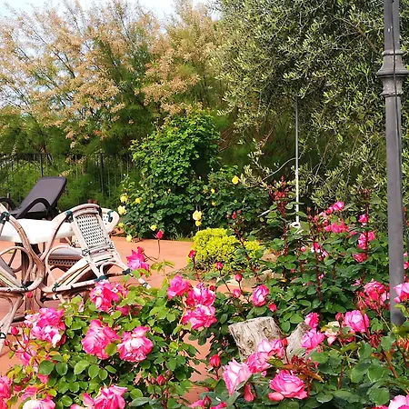 Le Boscarecce Hotel Castelfiorentino