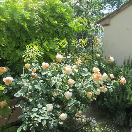 Le Boscarecce Hotel Castelfiorentino