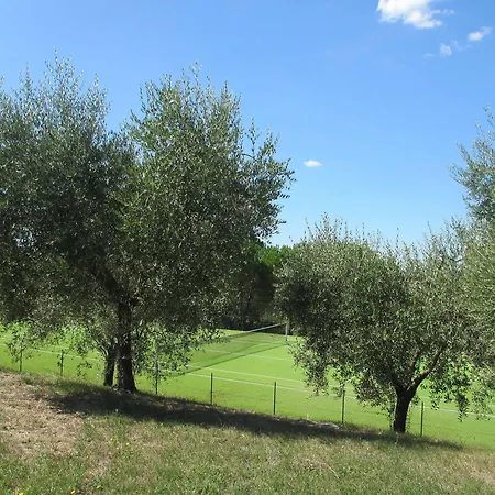 Hotel Le Boscarecce 3*